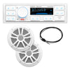 Boss Audio MCK500WB.6 Kit w/MR500UAB, 2 MR6W Speakers, MRANT10 Antenna, &amp; White Remote