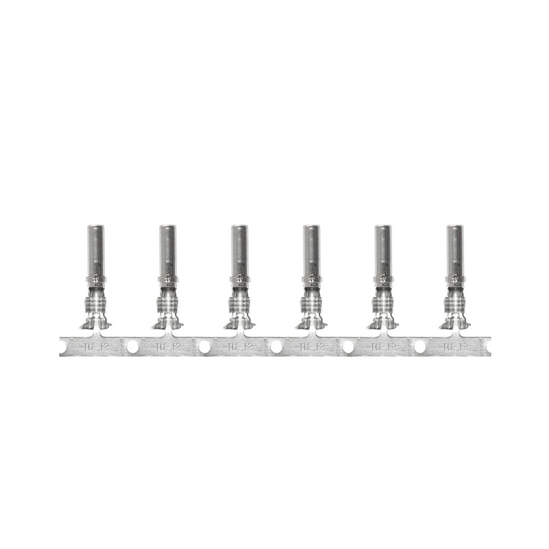 Pacer DTP Deutsch Socket f/10 AWG Wire - Size 12 Contact (10 Pack)
